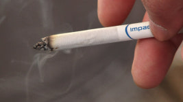 빗물받이에 담배꽁초 안 돼요…서울시, 호우 대비 집중관리