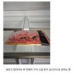 추석 앞두고 삼성 냉장고 꺼졌다…업데이트 후 '먹통' 속출