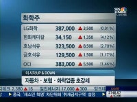 [특징주]외인 사고 개미 팔고…차·화학·IT 웃고 고려아연 울고