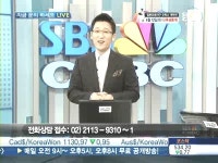 [이종혁의 주식컨설팅]SDN, 해외태양광사업 유치 불구 하락이유