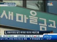 2조5천억 뱅크런 소동…오보홍역 새마을 금고 진정세