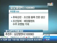 [승부주]엘비세미콘, 삼강엠앤티