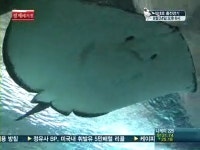 희귀 바다생물이 도심에?…이색 바다체험 속으로 풍덩