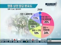 불황 모르는 명동 땅값, 위치별로 최대 17배 격차