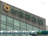 [단독]허울뿐인 농협 감사…남해화학 배임, 예견된 악재