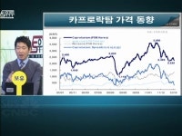 [안투vs위투 주식상담소]카프로 언제쯤 팔아야 할까요?