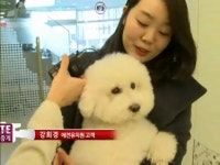 애견도 유치원다닌다…알림장도 주는 완벽 커리큘럼!