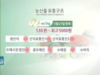 농산물 유통구조·도매시장 대수술…가격 안정화될까
