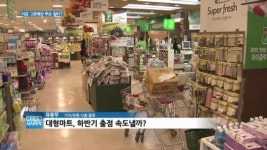 [백브리핑] 골목상권 무법자 대형마트, 출점 기지개 켜나?
