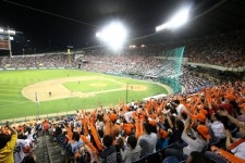 [콤팩트뉴스] 근로자의 날, 잠실·목동구장 전석 매진 外