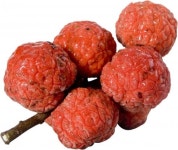 [2012 상반기 히트상품] 고성 꾸지뽕, 고혈압·당뇨에 특효