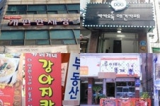 빵터지는 애견샵 이름 “개편한 세상, 카카오독, 카페개네…” 폭소