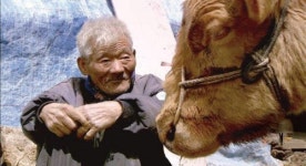 워낭소리 할아버지 별세 “누렁이 옆에서 편히 쉬세요” 애도 물결