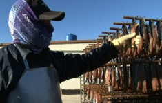 [ON AIR] 얼었다 녹았다…용대리 황태의 겨울