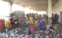 [ON AIR] ‘종합영양제’ 아귀의 본고장 오동동 소개