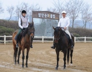 경기도 화성 발안MG승마클럽 5일 개장