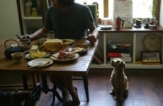 ‘새댁’ 이효리, 블로그 통해 제주도서 화보 같은 신혼생활 공개