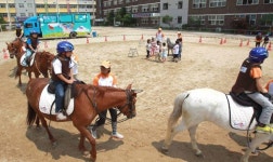 “우리 학교 운동장에 말들이 나타났어요”