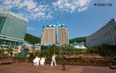 국내 3대 카지노업체 ‘엇갈린 행보’