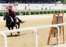말이 살찌는 가을, 말사랑 국민대축전 가볼까
