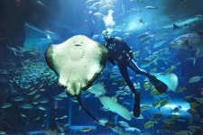 아쿠아플라넷 일산, 대중교통 장려 할인 이벤트