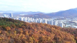 강남권 인접 ‘과천 땅’ 노려볼 찬스