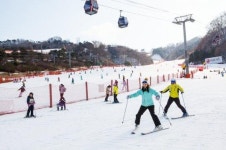 대명 비발디파크, 마지막 스키 특가 패키지