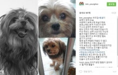 ‘동물농장’ 현아의 눈물, ★들도 공감했다 [전문 포함]