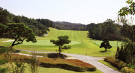 [콤팩트뉴스] 플라자CC용인 아마추어 골프대회 外