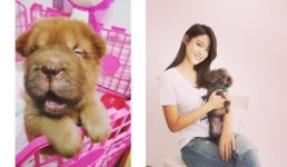 AOA 설현 “새 식구 덩치를 소개합니다”…무한 애견 사랑