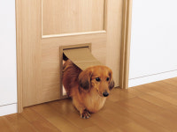 펫도어·마루코팅은 기본…반려견 맞춤 주택이 대세