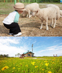 곤지암 리조트, 정상휴게소 작은동물원 오픈