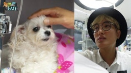 ‘개밥주는남자 시즌2’ 감성 개집사 강타, 반려견 건강상태에 눈물