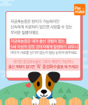 동물병원 원장이 알려주는 애견상식, 오늘은 자궁축농증입니다.