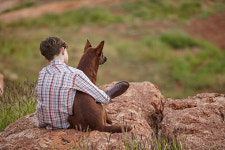 펭귄 지키는 개 이야기? 실화라고!