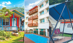 반려동물과 여행, 눈치 보지말고 즐기자