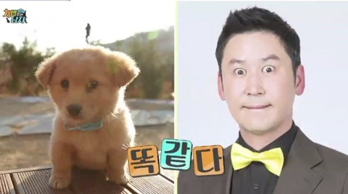 ‘개밥남2’ 김민교, 감탄 나오는 강아지 작명 “눈 몰린 아이 동엽이 형” | 포토뉴스