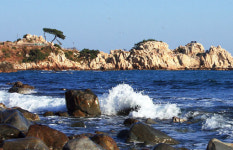 올림픽 아리바우길, 대왕암 솔바람길…겨울 낭만이 가득