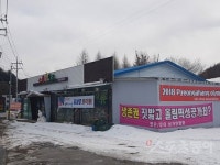 [평창 르포] 올림픽으로 무너진 생계·축제의 짙은 그림자