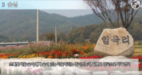 [대박! 이거 봤어?] ‘숲실·아우내·햇살말’이 ‘임곡리·병천·양촌리’가 된 이유