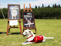 한국마사회, 2018 제주 반려동물 한마당 개최
