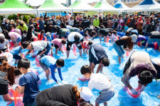 안면도 백사장 대하축제, 14일까지 진행