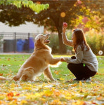 반려동물 프로도 진화중