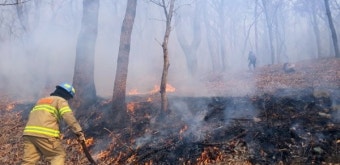 기장 산불 발생…헬기8대·소방관 130여명 투입 기장 산불 진화