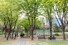 [김재범 기자의 투얼로지] 동네 공원 ‘힐링 한 바퀴’ 어때요?