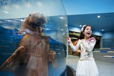 한화아쿠아플라넷 일산, 원마운트와 컬래버 프로모션