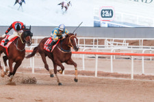 6일 9경주 KRA컵 클래식, 2000m 장거리 강자 가린다