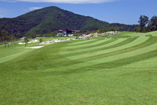 킹스데일, 스포츠동아-XGOLF 2019소비자만족 10대 골프장 후보 선정