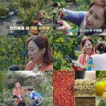 [DA:클립] ‘자연스럽게’ 전인화, 산수유 따다 소유진 엉덩이 팡팡