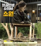 “동물=사람”…‘해치지않아’ 안재홍→전여빈, 물아일체 연기